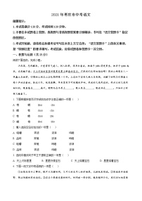 2021年山东省枣庄市中考语文试题（原卷+解析）