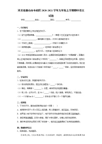 河北省唐山市丰南区2020-2021学年九年级上学期期中语文试题（word版 含答案）