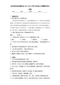 山东省枣庄市滕州市2021-2022学年九年级上学期期中语文试题（word版 含答案）