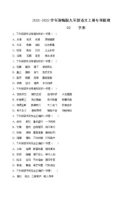 02 字形-2021-2022学年九年级语文上册知识梳理与检测（部编版）