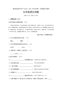 江苏省盐城市建湖县颜单初中2020—2021学年九年级上学期期末调研语文试题（含答案）