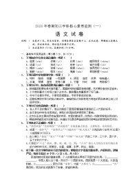 2020年四川省达州市九年级下学期学科核心素养监测（一）语文试题