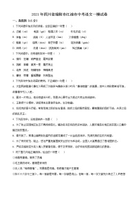 精品解析：2021年四川省绵阳市江油市中考一模语文试题