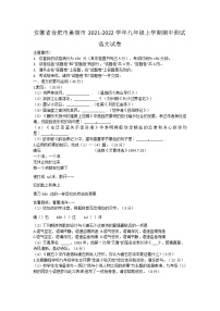 安徽省合肥市巢湖市2021-2022学年九年级上学期期中测试语文试卷（word版 含答案）