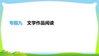 中考语文总复习专题九文学作品阅读完美课件PPT