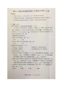 浙江省丽水市青田县第二中学2020-2021学年九年级上学期期中考试语文(A卷)试题(图片版,无答案)