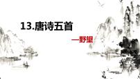 初中语文人教部编版八年级上册野望优质课件ppt
