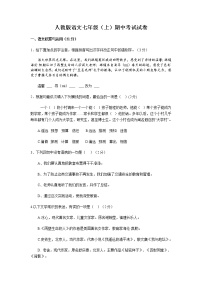 部编版语文七年级上册  期中测试卷3（含答案）