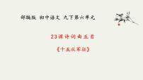 初中语文人教部编版九年级下册十五从军征习题课件ppt