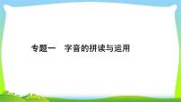 中考语文复习专题一字音的拼读与运用优质课件PPT