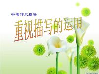 中考作文之重视描写的运用课件PPT