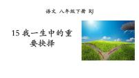 初中语文人教部编版八年级下册15 我一生中的重要抉择示范课ppt课件