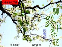 人教部编版七年级下册第四单元15 驿路梨花精品习题课件ppt