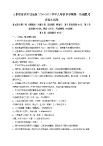 精品解析：2021年山东省泰安市岱岳区中考一模语文试题