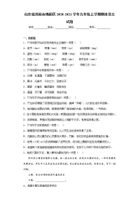 山东省济南市槐荫区2020-2021学年九年级上学期期末语文试题（word版 含答案）