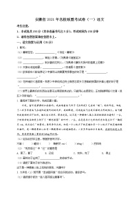 精品解析：2021年安徽省安庆市望江县等联盟中考一模语文试题（解析版+原卷版）