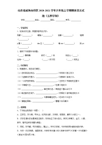 山东省威海市经区2020-2021学年六年级上学期期末语文试题（五四学制）（word版 含答案）