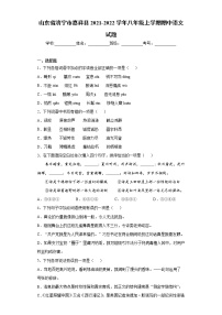 山东省济宁市嘉祥县2021-2022学年八年级上学期期中语文试题（word版 含答案）