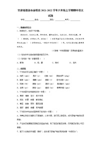 甘肃省酒泉市金塔县2021-2022学年八年级上学期期中语文试题（word版 含答案）