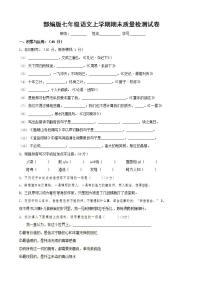 人教部编版七年级语文上册第一学期期末联考质量综合检测试题测试卷 (30)