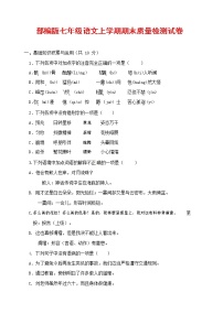 人教部编版七年级语文上册第一学期期末联考质量综合检测试题测试卷 (278)