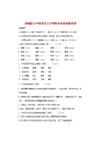 人教部编版七年级语文上册 第一学期期末复习质量综合检测试题测试卷 (221)
