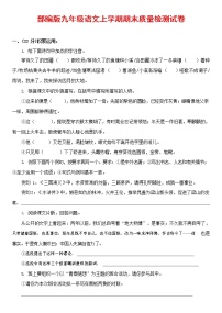 人教部编版九年级语文上册 第一学期期末考试复习质量综合检测试题测试卷及答案 (7)