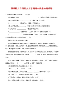 人教部编版九年级语文上册 第一学期期末考试复习质量综合检测试题测试卷及答案 (243)