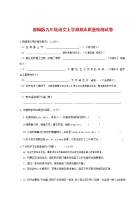 人教部编版九年级语文上册 第一学期期末考试复习质量综合检测试题测试卷含答案 (18)