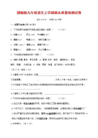 人教部编版九年级语文上册 第一学期期末考试复习质量综合检测试题测试卷及参考答案 (30)