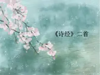 初中语文人教部编版八年级下册关雎课堂教学课件ppt
