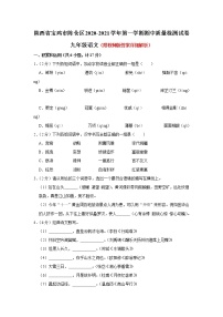 2020-2021学年陕西省宝鸡市陈仓区九年级上学期期中质量检测语文试卷（含答案与解析）