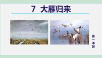 初中大雁归来评课课件ppt