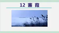 初中第三单元12《诗经》二首蒹葭示范课ppt课件