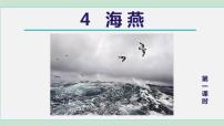人教部编版九年级下册第一单元4 海燕授课ppt课件