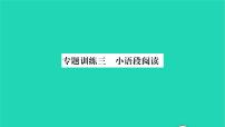 安徽专版2021七年级语文上册专题训练三小语段阅读习题课件新人教版