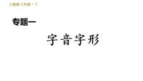 七年级语文部编版下册课件 专题一  字音字形 26张PPT