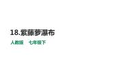 初中语文人教部编版七年级下册18 紫藤萝瀑布教学演示ppt课件