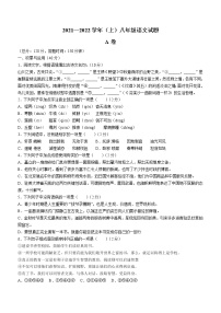 宁夏固原市原州区2021-2022学年八年级上学期期末语文试题（A卷）（word版 含答案）