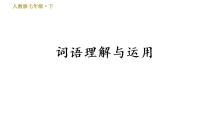 人教版七年级下册语文 期末专题训练 专题二　词语理解与运用 习题课件