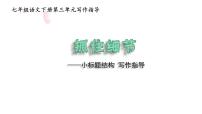 语文人教部编版写作 抓住细节教课内容课件ppt