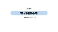 九年级上册综合性学习 君子自强不息教课内容课件ppt