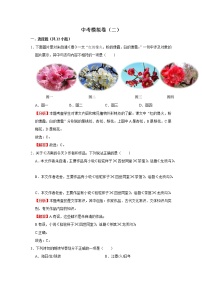 中考模拟卷（二）（解析版）-2022年语文中考一轮复习考点透析（部编版）