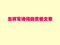 2022年中考语文二轮专题复习：怎样写诗词的赏析文章（共22张PPT）