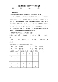 山东省潍坊市2020年中考语文试题-