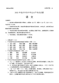 2021年山东省临沂市中考语文真题