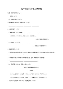 山东省菏泽市巨野县2020届九年级中考二模语文试题及答案