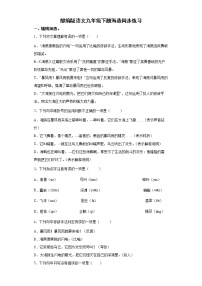 初中语文人教部编版九年级下册4 海燕巩固练习