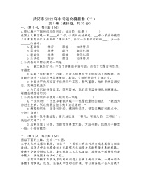 2022年湖北省武汉市中考语文模拟卷（二）（word版含答案）