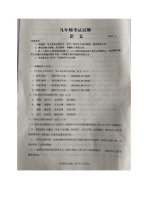 山东省临沂市沂水县2020届九年级中考二模语文试题及答案